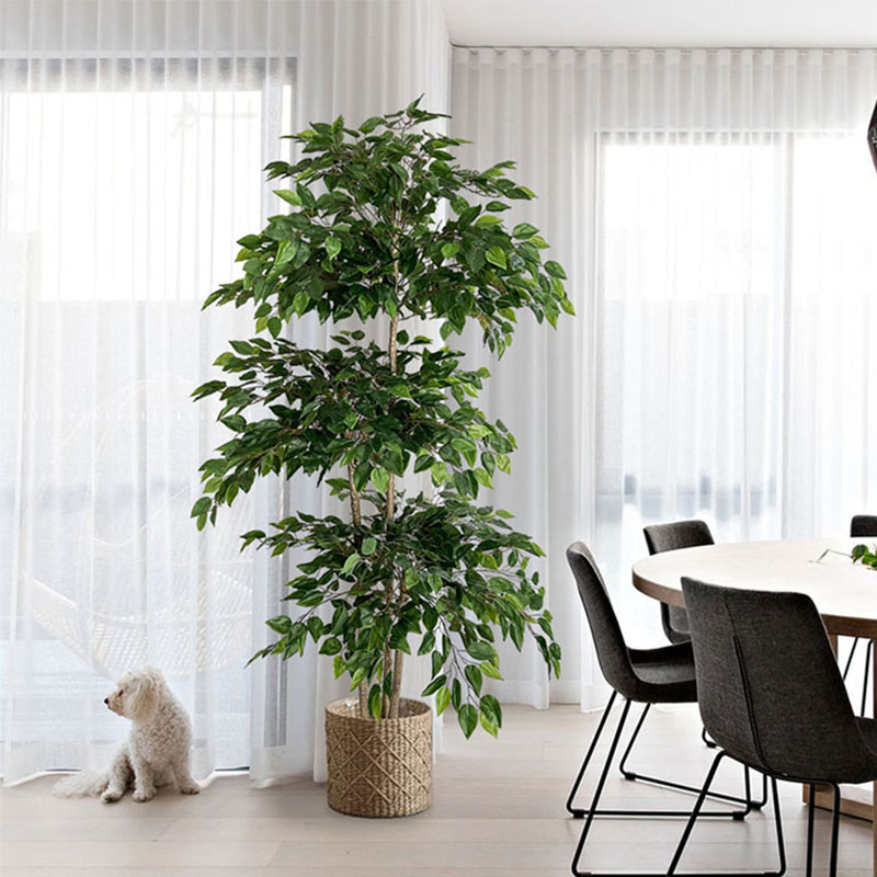 Ficus Lyrata Tree - 70-in Ficus sztuczne drzewo duże tropikalne