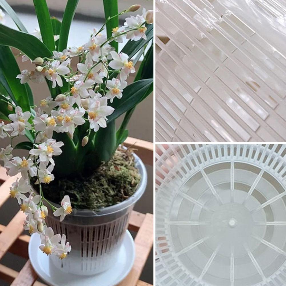 Aloe Vera Pot - Doniczka siatkowa z kontrolą korzeni, przezroczysta