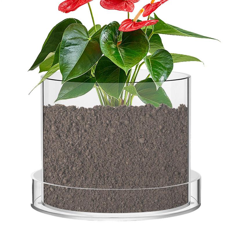 Aloe Vera Pot - Przezroczyste doniczki z odpływem Przezroczyste pojemniki