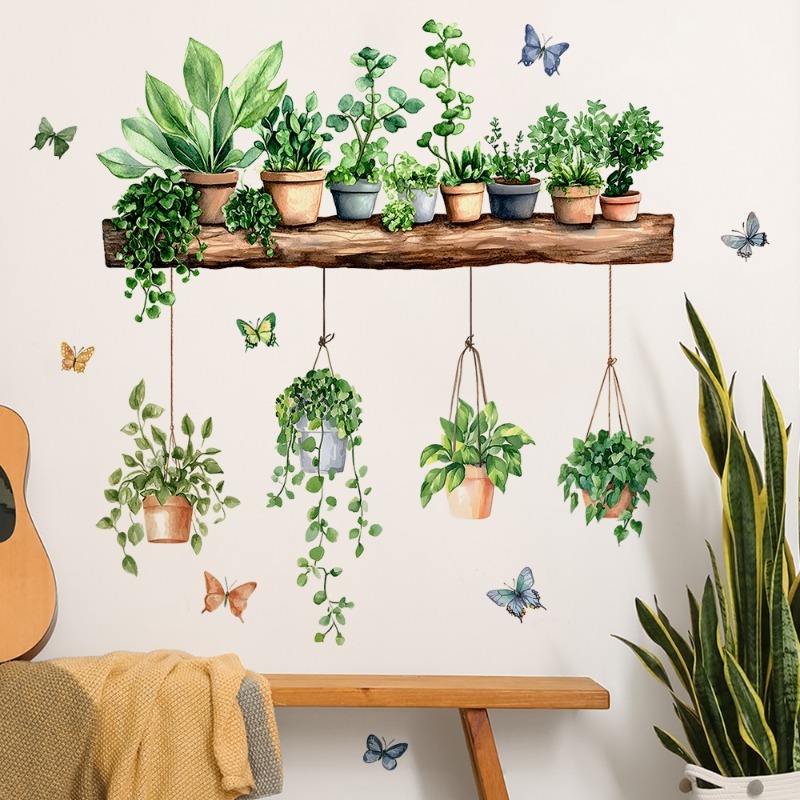 Echeveria Succulent - Naklejki ścienne 3D z zielonymi roślinami