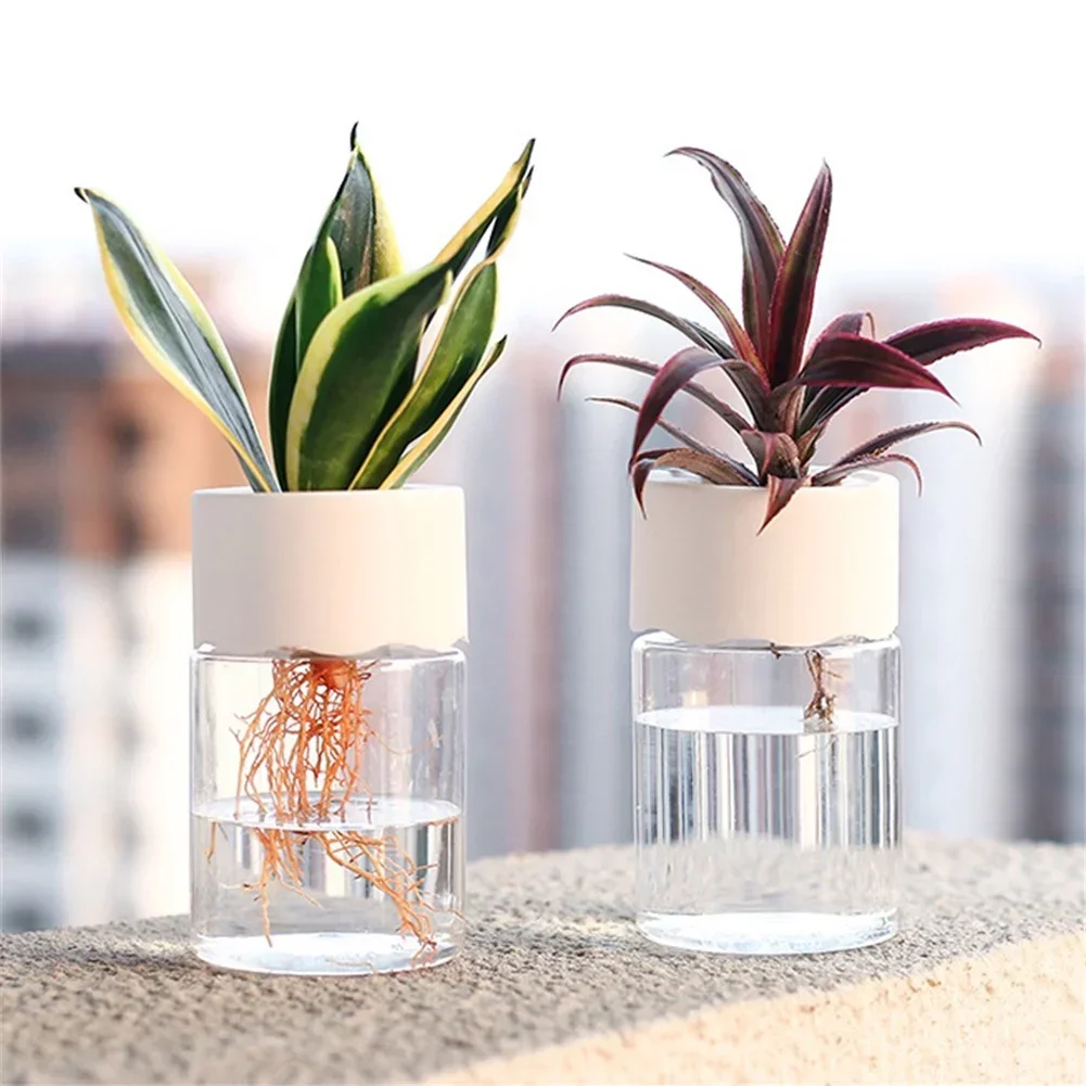 Mini hydroponiczna doniczka, p – Aloe Vera Pot recenzja i cena