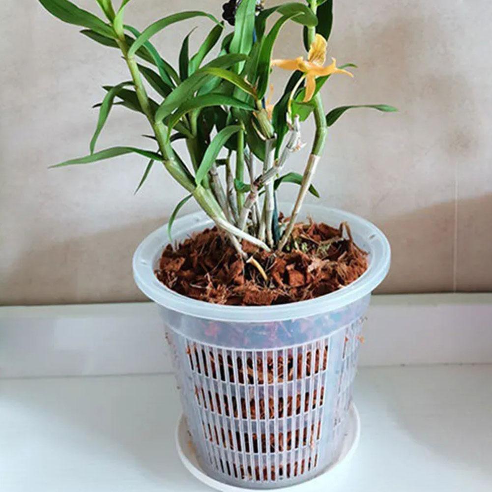 Doniczka siatkowa z kontrolą k – Aloe Vera Pot recenzja i cena