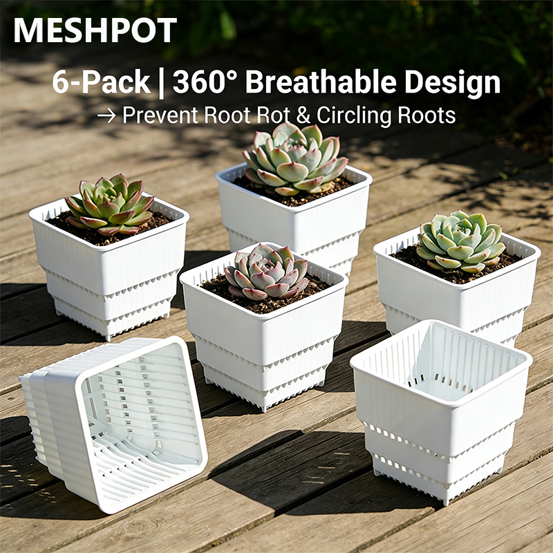 MESHPOT Zestaw 6 Kwadratowych  – Echeveria Succulent recenzja i cena