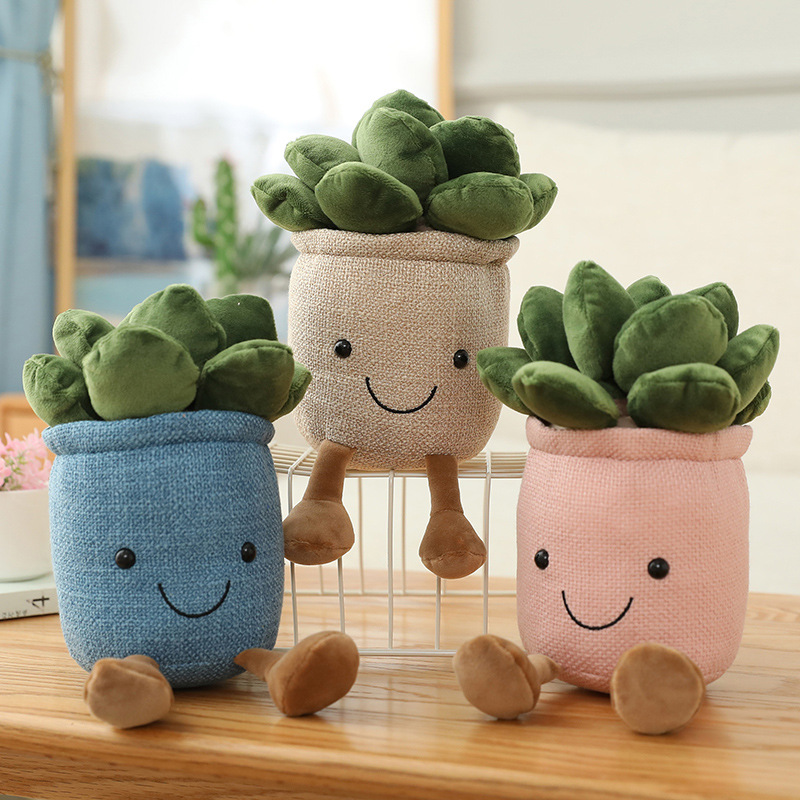 Realistyczne pluszowe rośliny  – Echeveria Succulent recenzja i cena