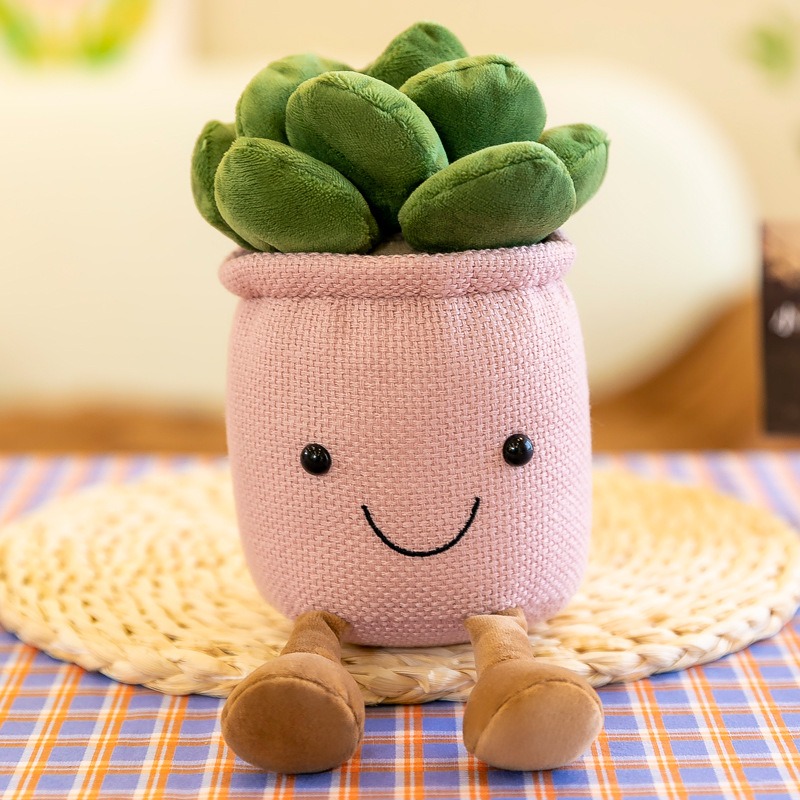 Realistyczne pluszowe rośliny  – Echeveria Succulent recenzja i cena