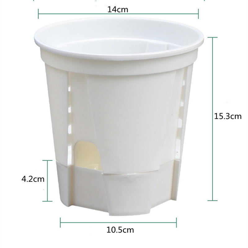 Przezroczysty garnek do orchid – Aloe Vera Pot recenzja i cena